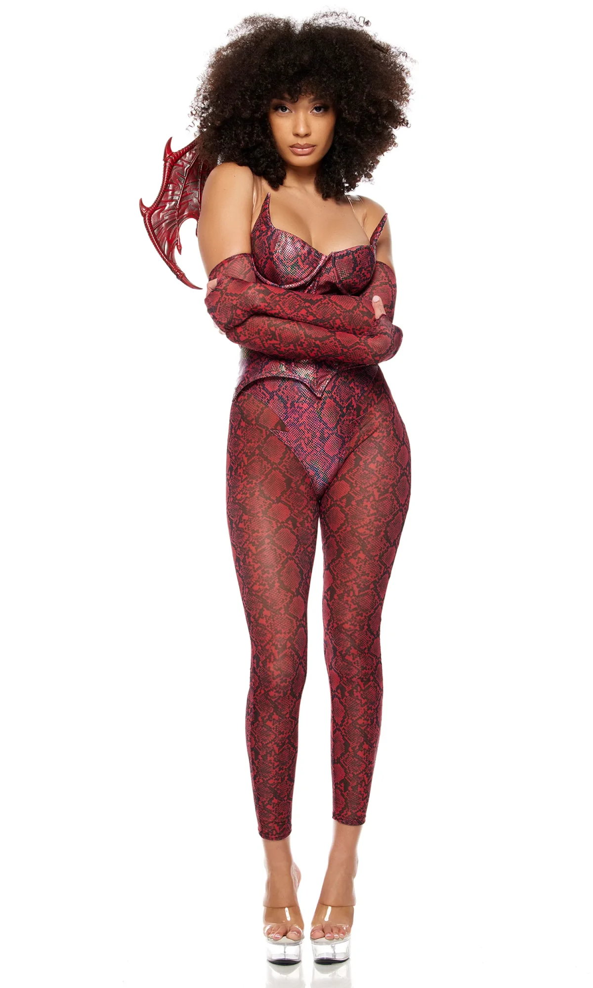 Dradoncita feroz - Imagen 3