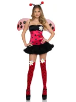 Mariquita Daisy - Imagen 4
