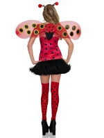 Mariquita Daisy - Imagen 2